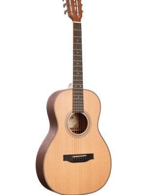 Guitars