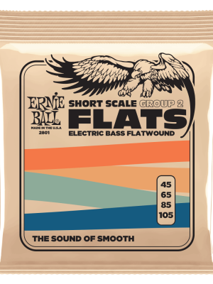 Group 2 Stainless Steel Flatwound Short Scale Electric Bass Strings 45-105 Gauge