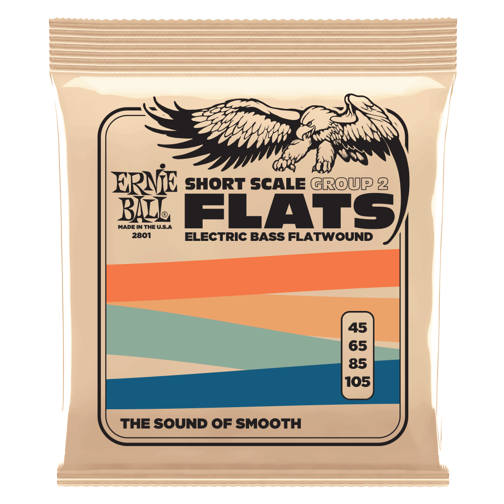 Group 2 Stainless Steel Flatwound Short Scale Electric Bass Strings 45-105 Gauge